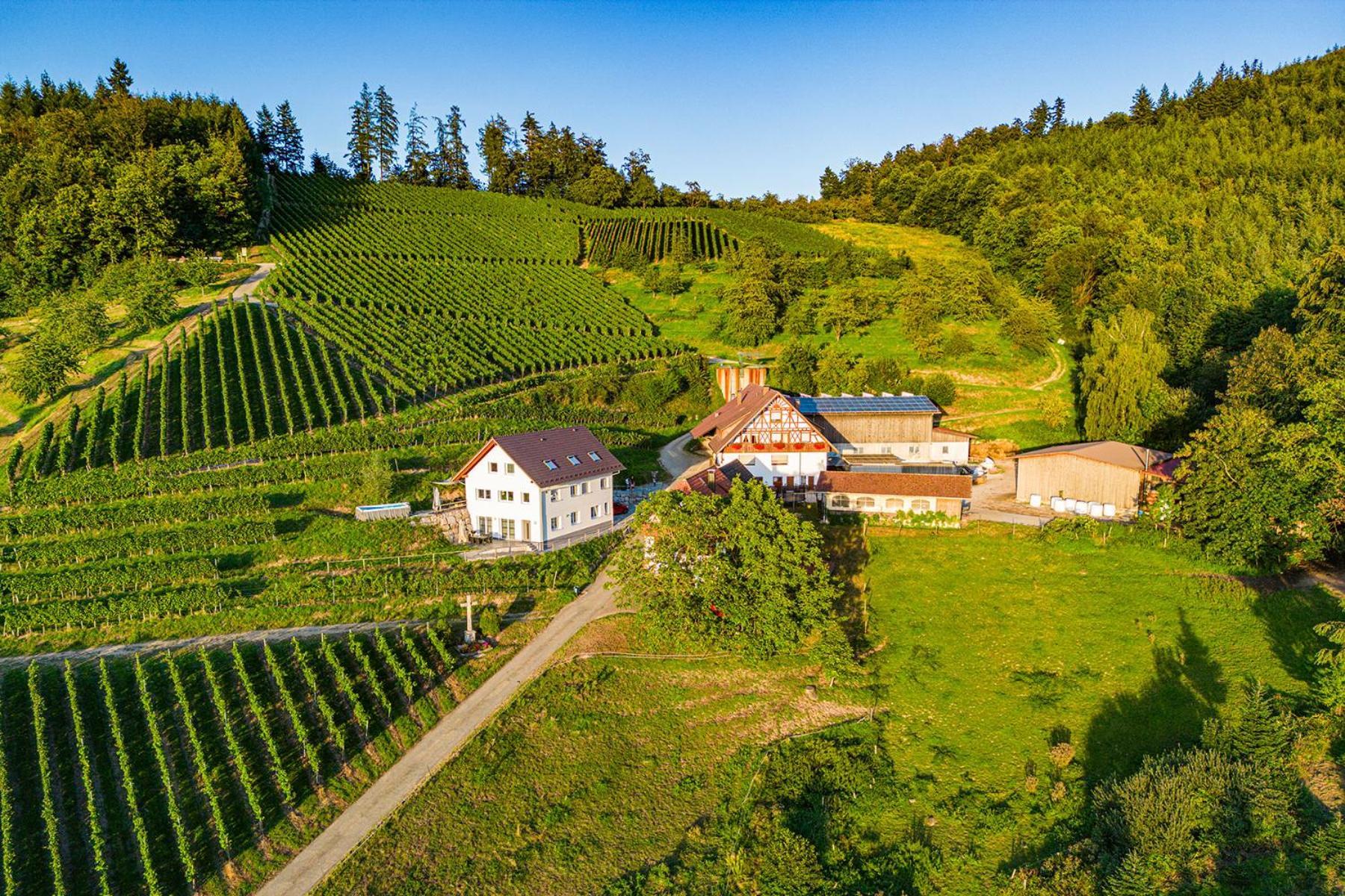 Paradieshof Lautenbach Esterno foto